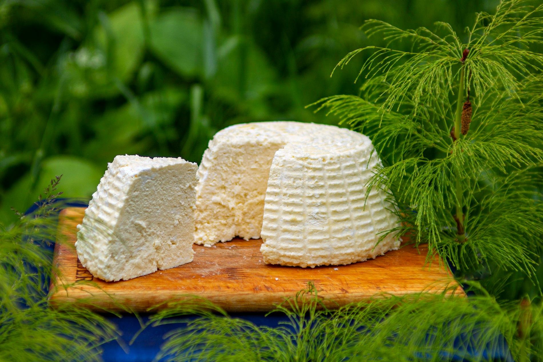 Ricottalı Domatesli Tost
